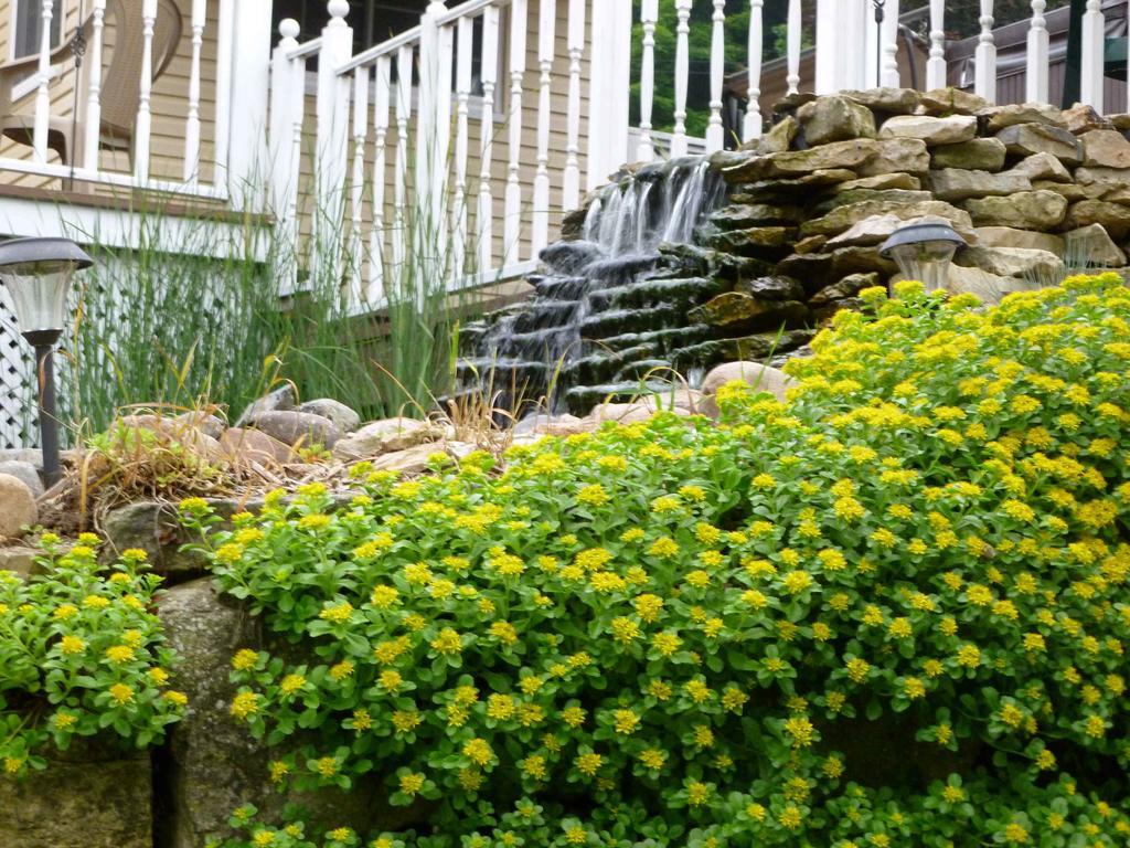 Trickling Waters Retreat Villa Marquette Exteriör bild