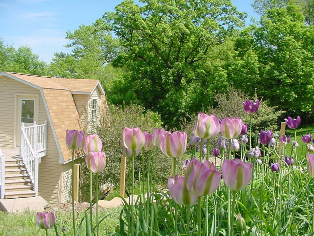 Trickling Waters Retreat Villa Marquette Exteriör bild